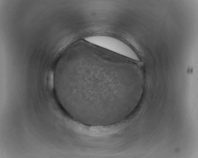 X0000091950022200709201332