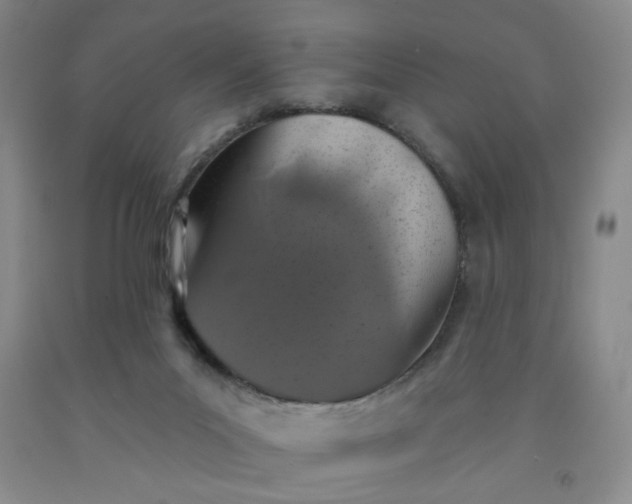 X0000091950023200709201332