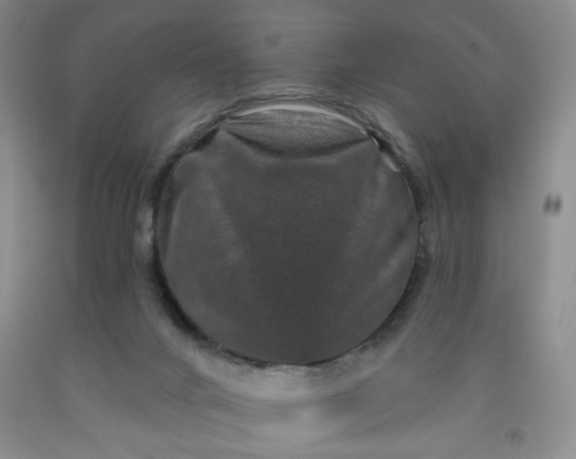 X0000091950024200709201332