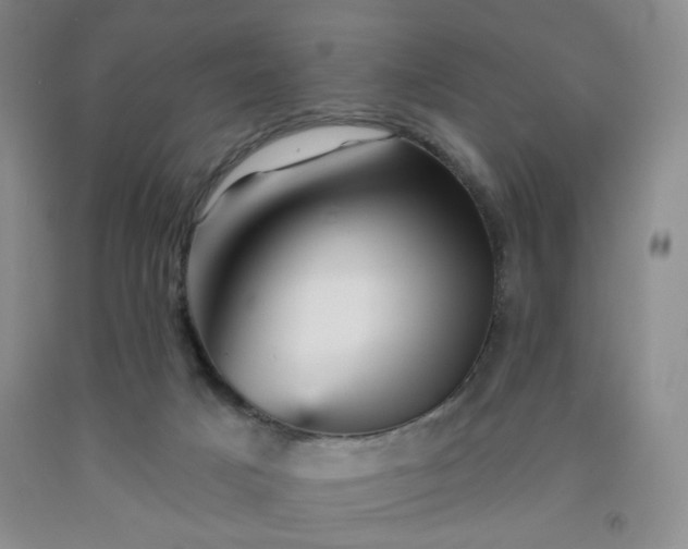 X0000091950025200709201332