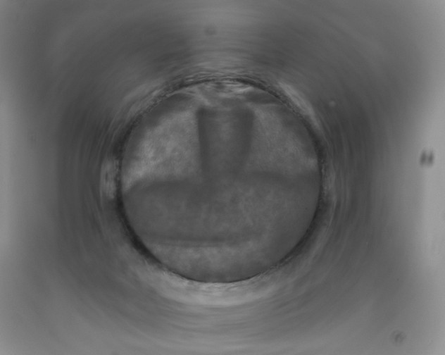 X0000091950026200709201332