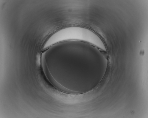 X0000091950027200709201332