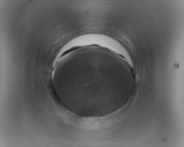 X0000091950029200709201332