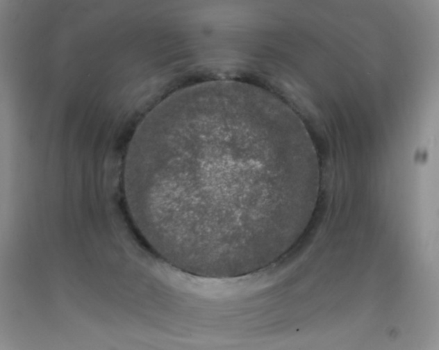 X0000091950030200709201332