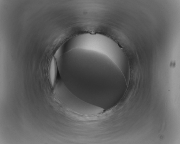 X0000091950031200709201332