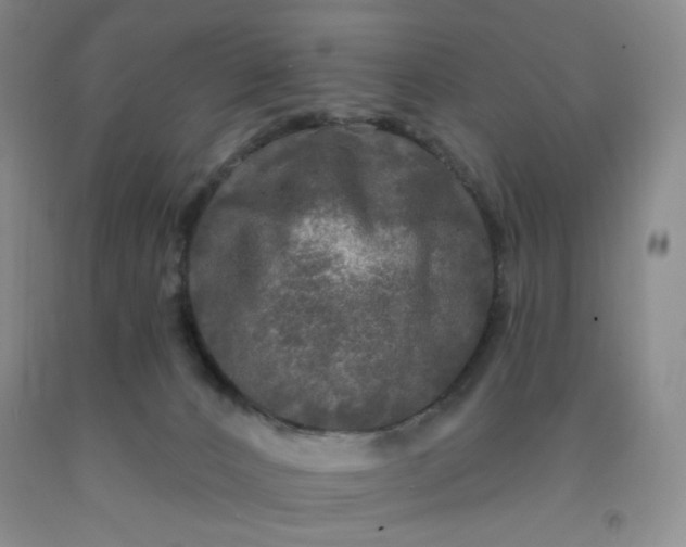 X0000091950032200709201332