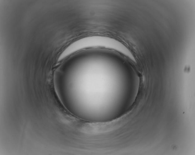 X0000091950033200709201332