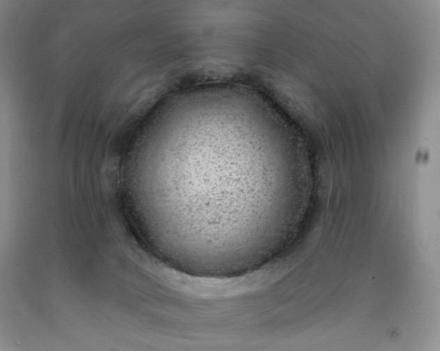 X0000091950034200709201332