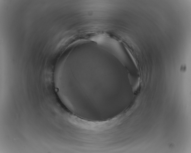 X0000091950035200709201332