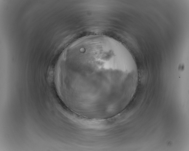 X0000091950036200709201332