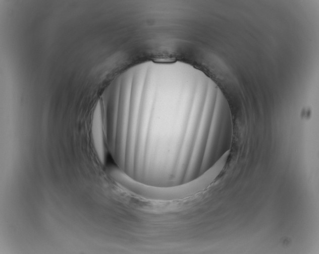 X0000091950037200709201332