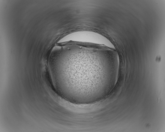 X0000091950038200709201332