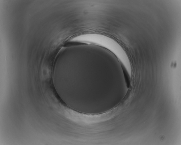 X0000091950039200709201332