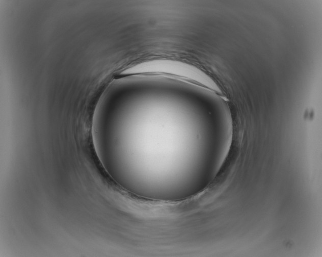 X0000091950040200709201332