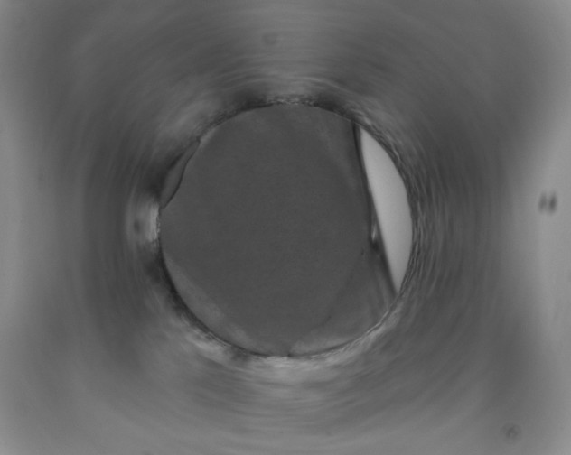 X0000091950041200709201332