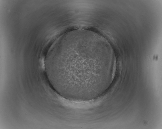 X0000091950042200709201332