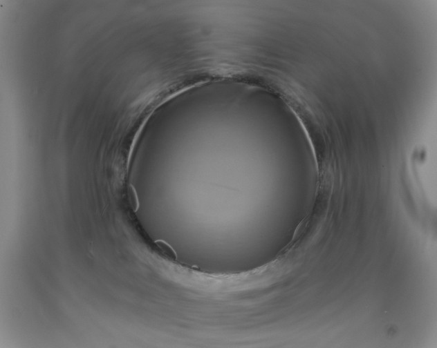 X0000091950043200709201332