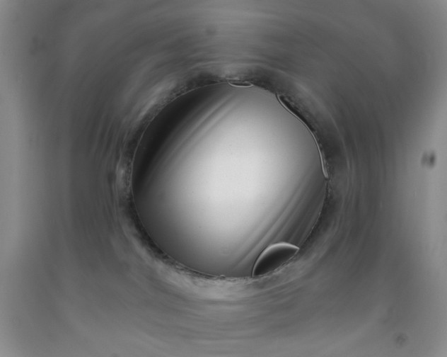 X0000091950044200709201332