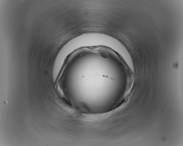 X0000091950045200709201332