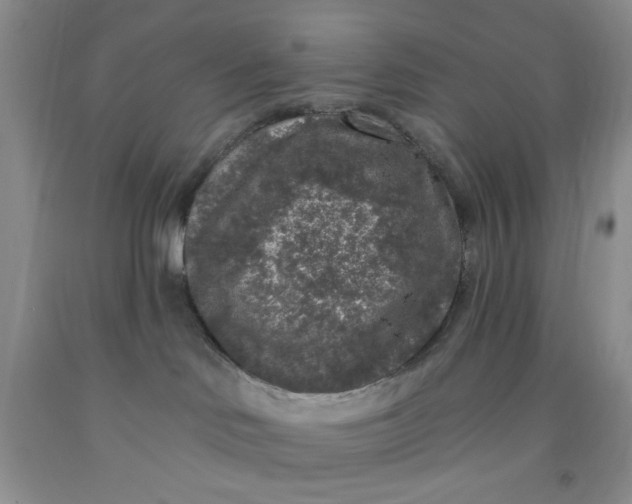 X0000091950046200709201332