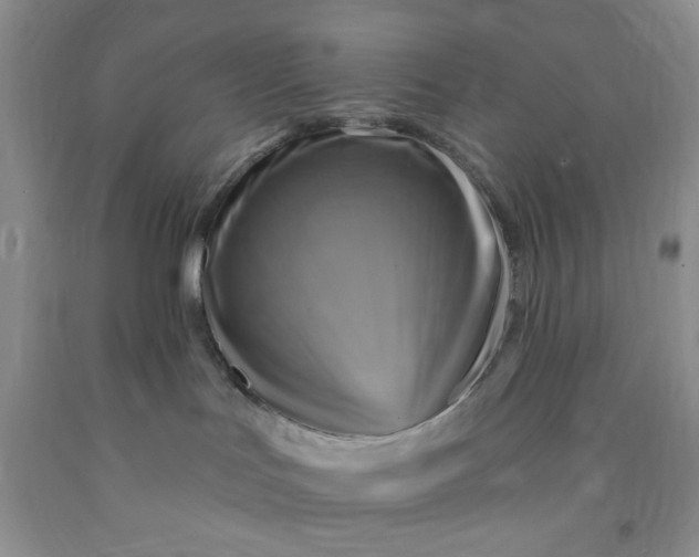 X0000091950047200709201332