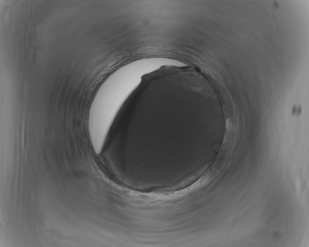 X0000091950048200709201332