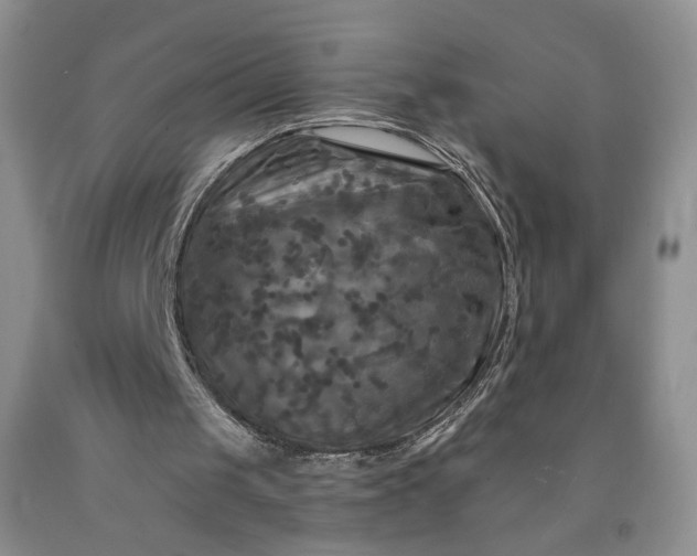 X0000091950049200709201331