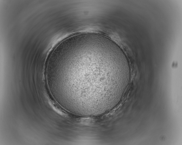 X0000091950050200709201331