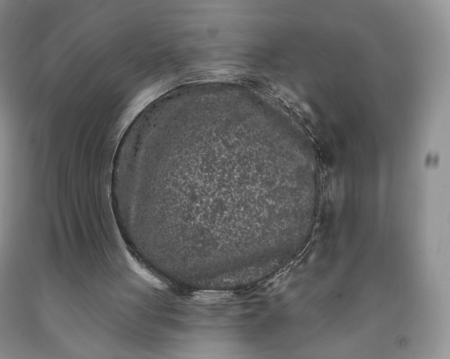 X0000091950051200709201331