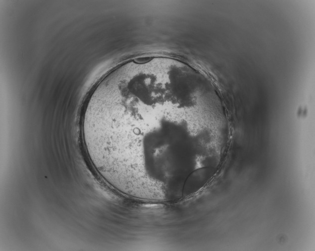 X0000091950053200709201331