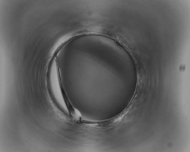 X0000091950054200709201331