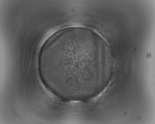 X0000091950055200709201331