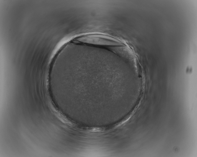 X0000091950056200709201331