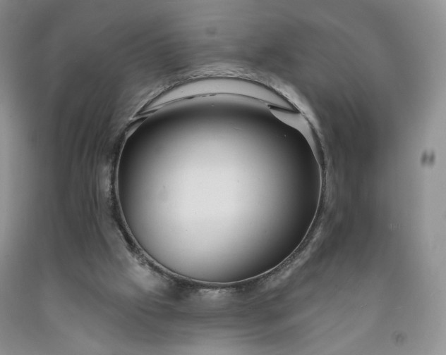 X0000091950057200709201331