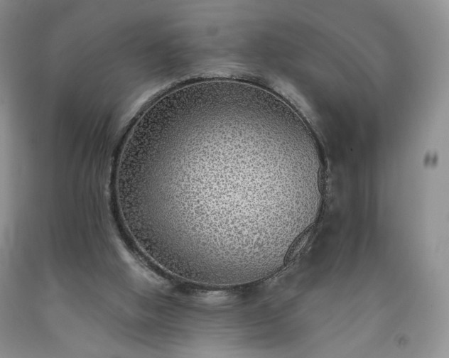 X0000091950058200709201331