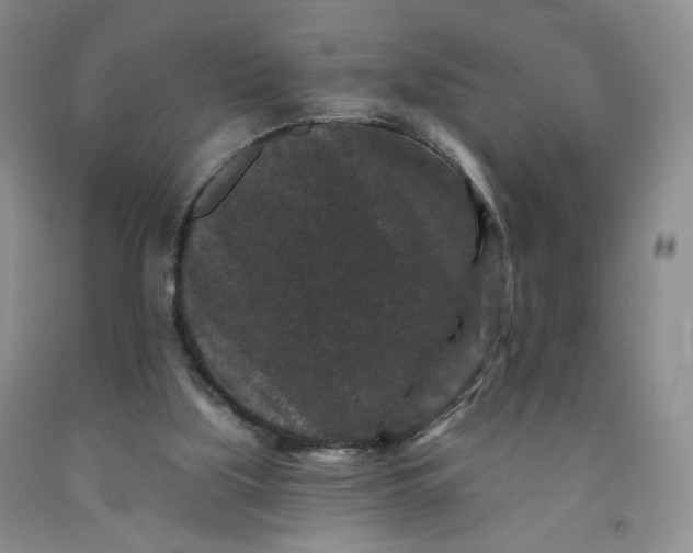 X0000091950059200709201331