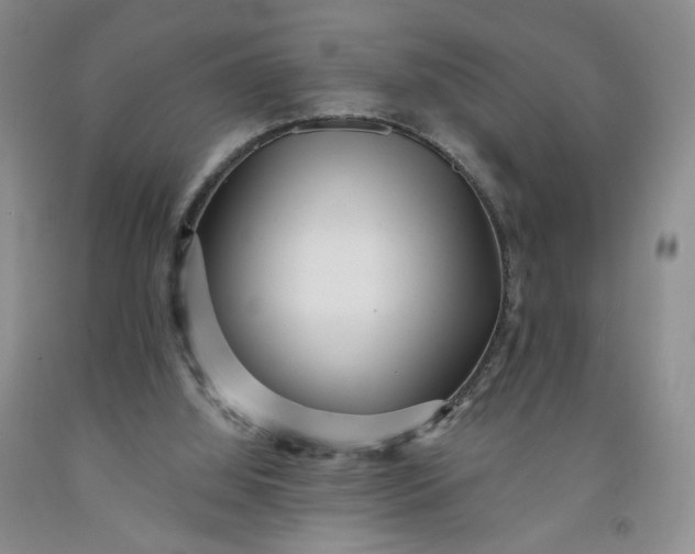 X0000091950060200709201331