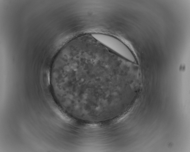 X0000091950061200709201331