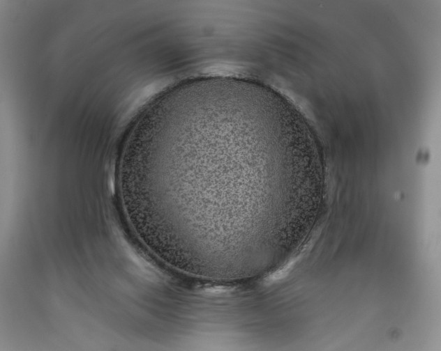 X0000091950062200709201331