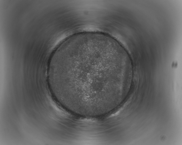 X0000091950063200709201331