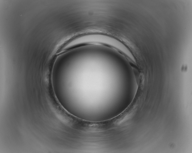 X0000091950064200709201331