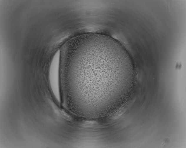 X0000091950066200709201331