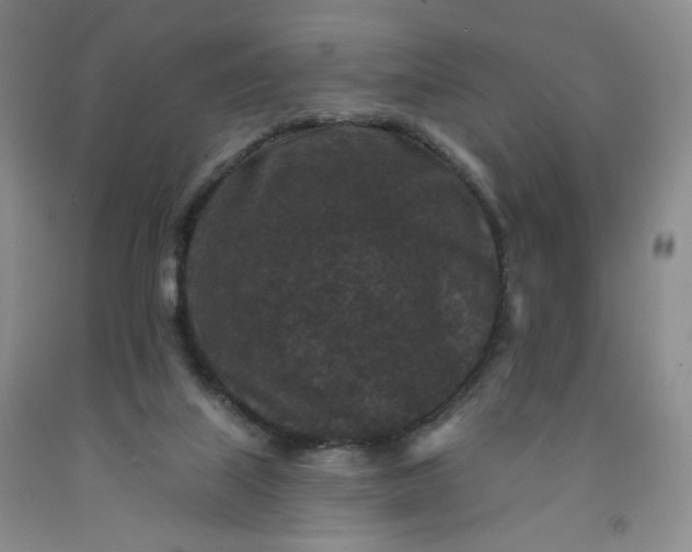 X0000091950067200709201331