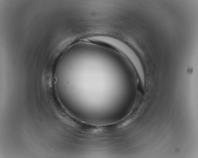 X0000091950068200709201331