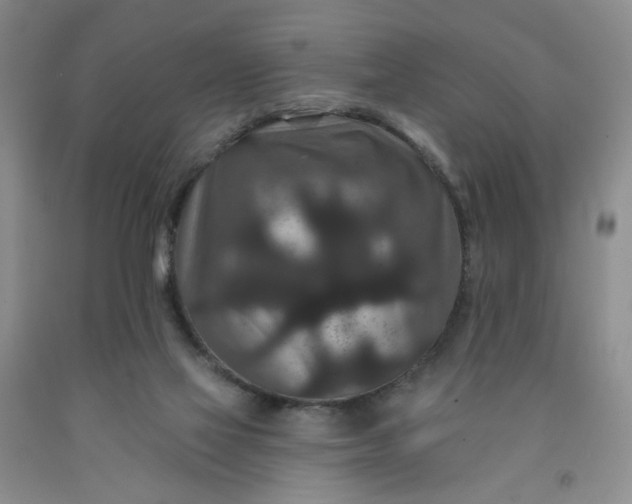 X0000091950069200709201331