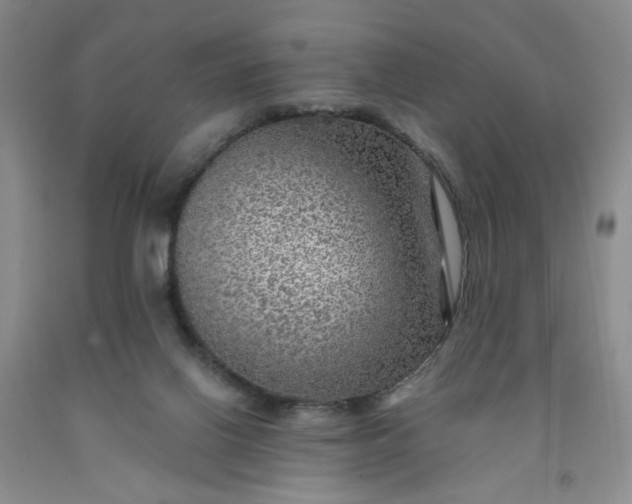 X0000091950070200709201331