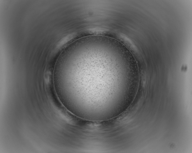 X0000091950071200709201331