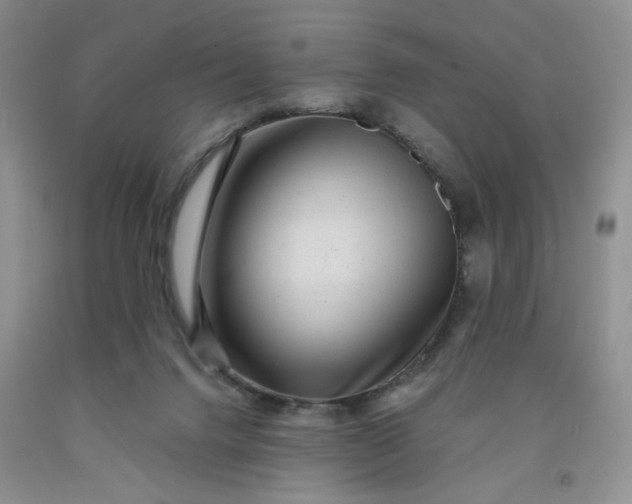 X0000091950072200709201331