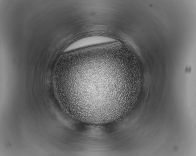 X0000091950073200709201331