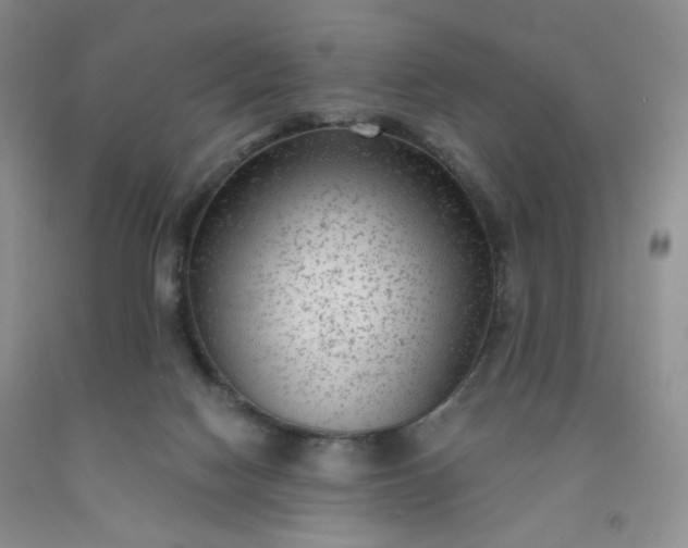 X0000091950074200709201331